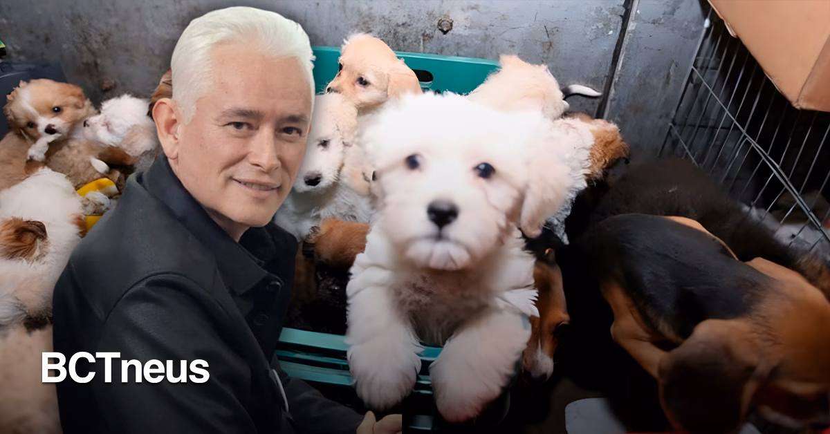 Articulo - Reglas más duras para la venta y cuidado de animales: Jorge Ramos presenta iniciativa