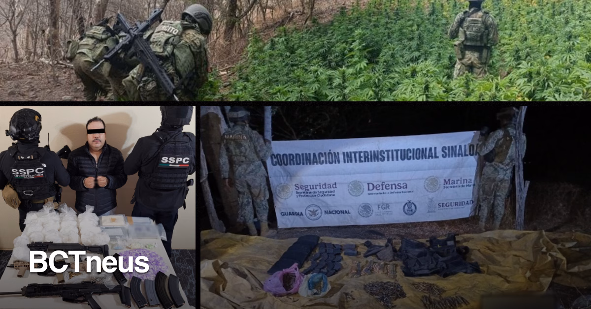 Articulo - Más de 280 MDP en Droga y Químicos Asegurados por Fuerzas Federales