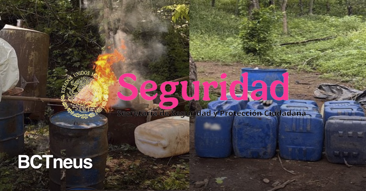 Articulo - Operación Frontera Norte: más de seis mil detenidos y 60 toneladas de droga aseguradas