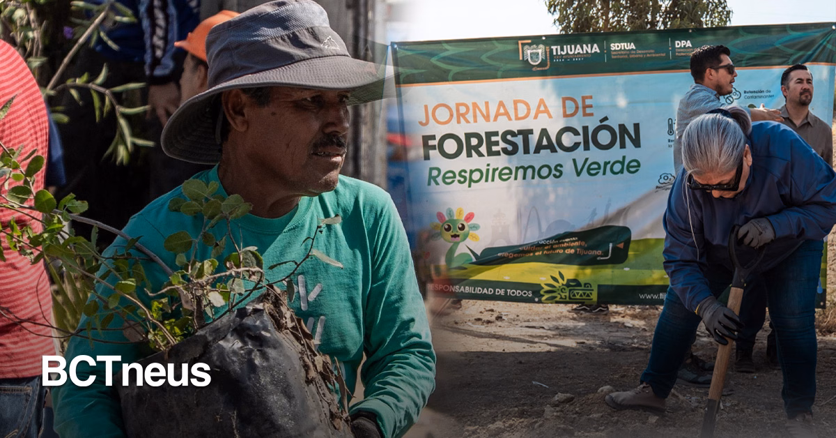 Articulo - Vecinos y gobierno siembran más de 190 árboles en La Presa Este