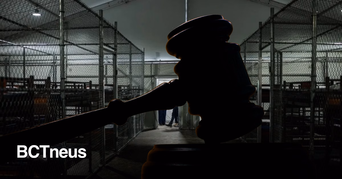 Articulo - Alligator Alcatraz deberá cerrar en 60 días, decide jueza federal