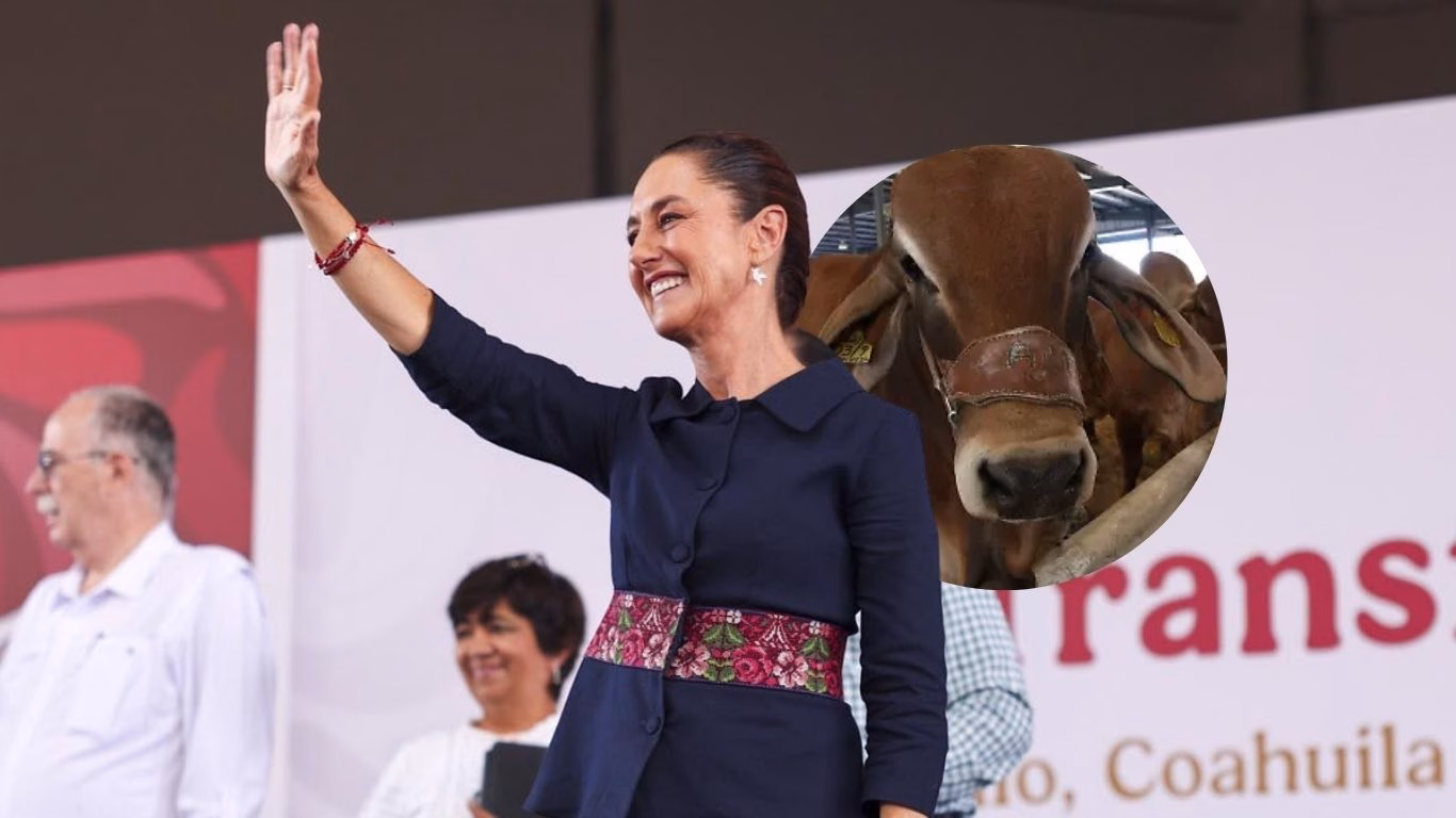 Articulo - Sheinbaum anuncia inversión de 650 mdp para producir carne de alta calidad