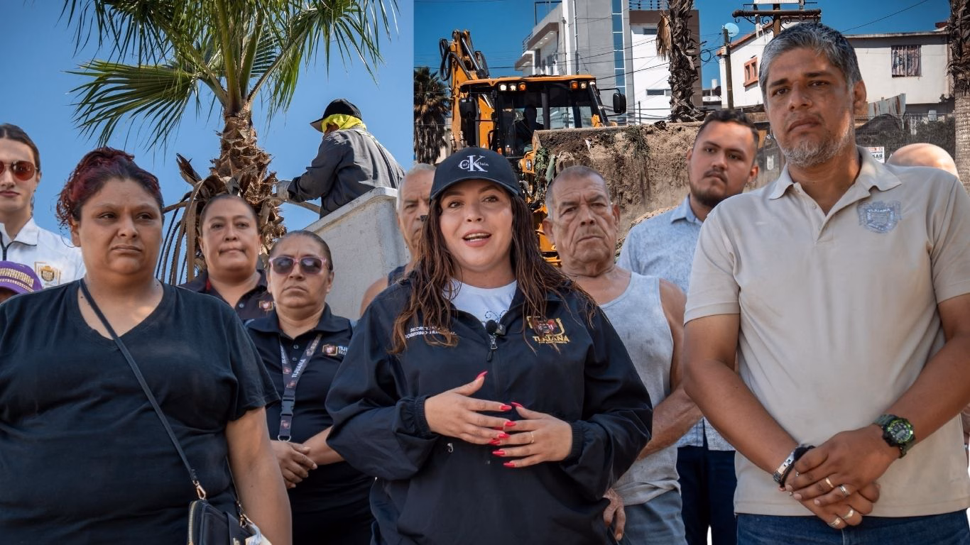 Articulo - Palmeras podadas, calles despejadas y alcantarillas limpias transformando Tijuana