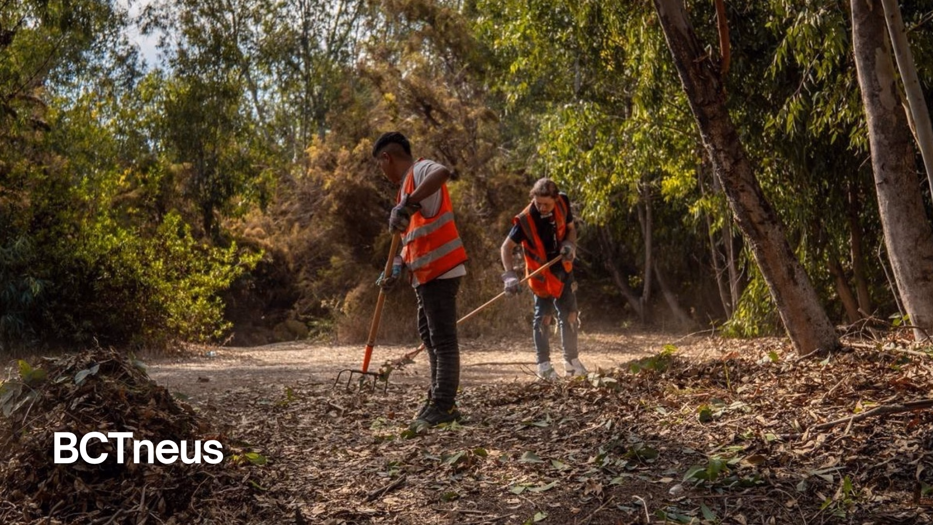Articulo - Tijuana recupera el Parque Morelos: retiran más de 40 toneladas de basura en jornada de limpieza