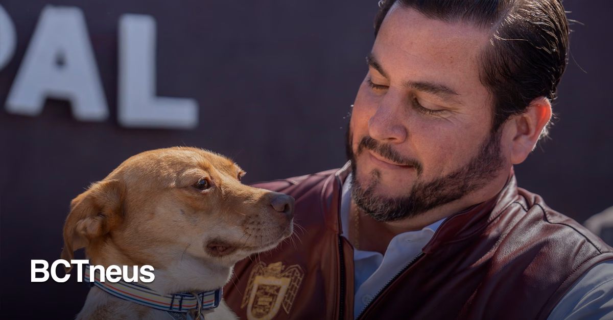 Articulo - Tijuana fortalece el rescate y adopción de mascotas con nuevo programa municipal