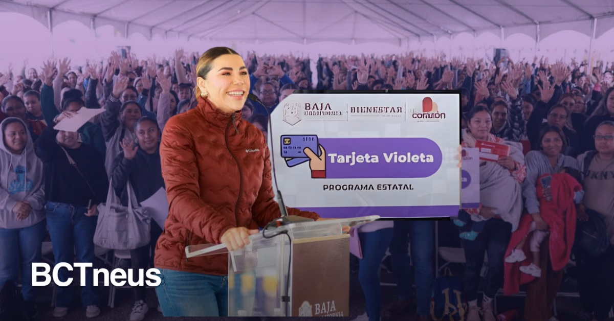 Articulo - Marina del Pilar inicia reposición de Tarjeta Violeta para más de 100 mil mujeres