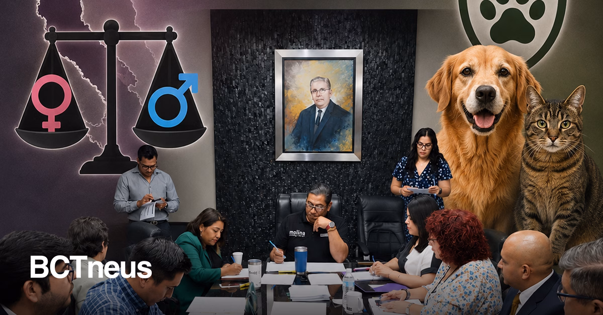 Articulo - Baja California aprueba en comisiones cambios sobre paridad, austeridad y protección animal