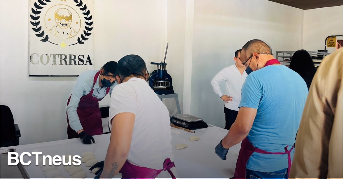 Articulo - Reinician actividades y talleres de rehabilitación en COTRRSA Hombres