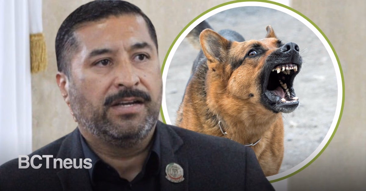 Articulo - Buscan registro obligatorio para caninos peligrosos en Baja California, propuesta de Ramón Vázquez
