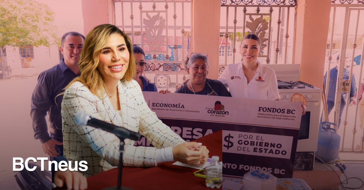 Articulo - Capital Semilla 2026 abre oportunidades para emprendedores bajacalifornianos