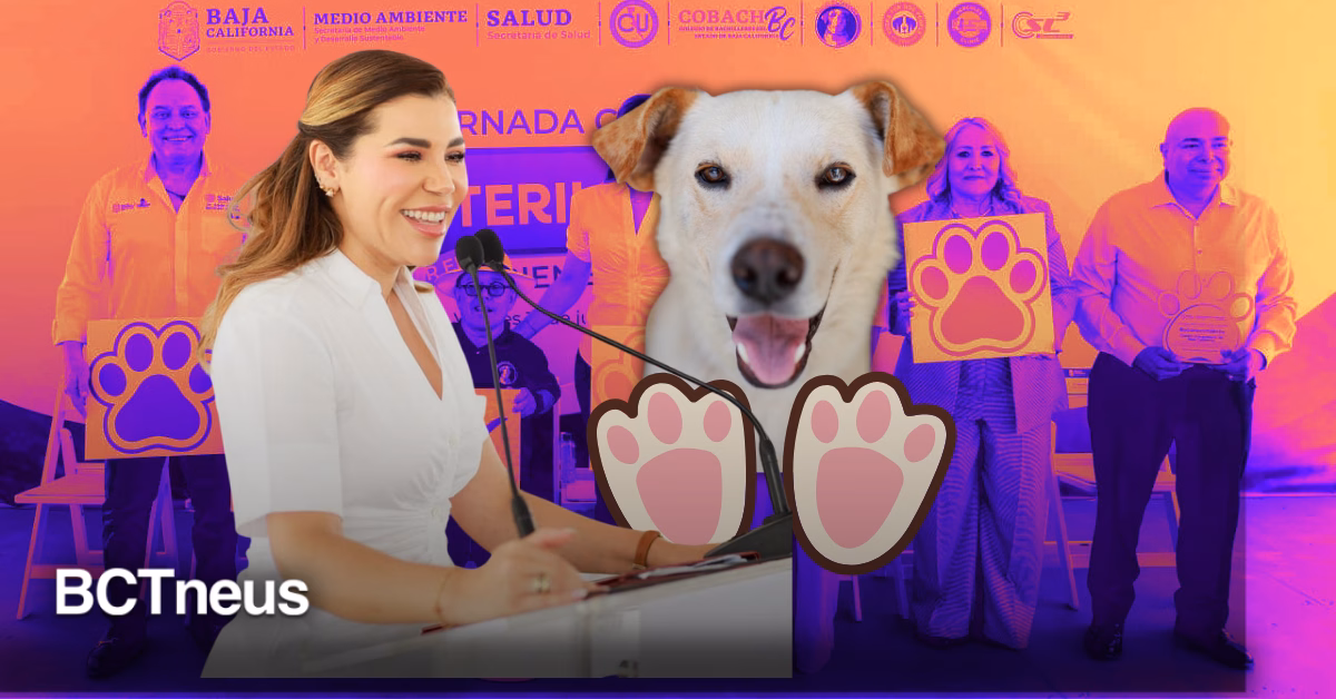 Articulo - Bienestar animal y salud pública, prioridades en Baja California: Marina del Pilar