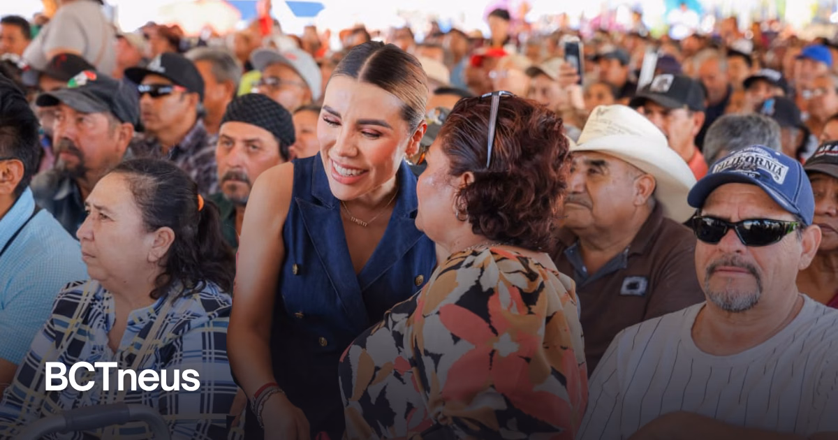 Articulo - Anuncia Marina del Pilar registro de programa de apoyo a personas adultas mayores de 60 a 64 años