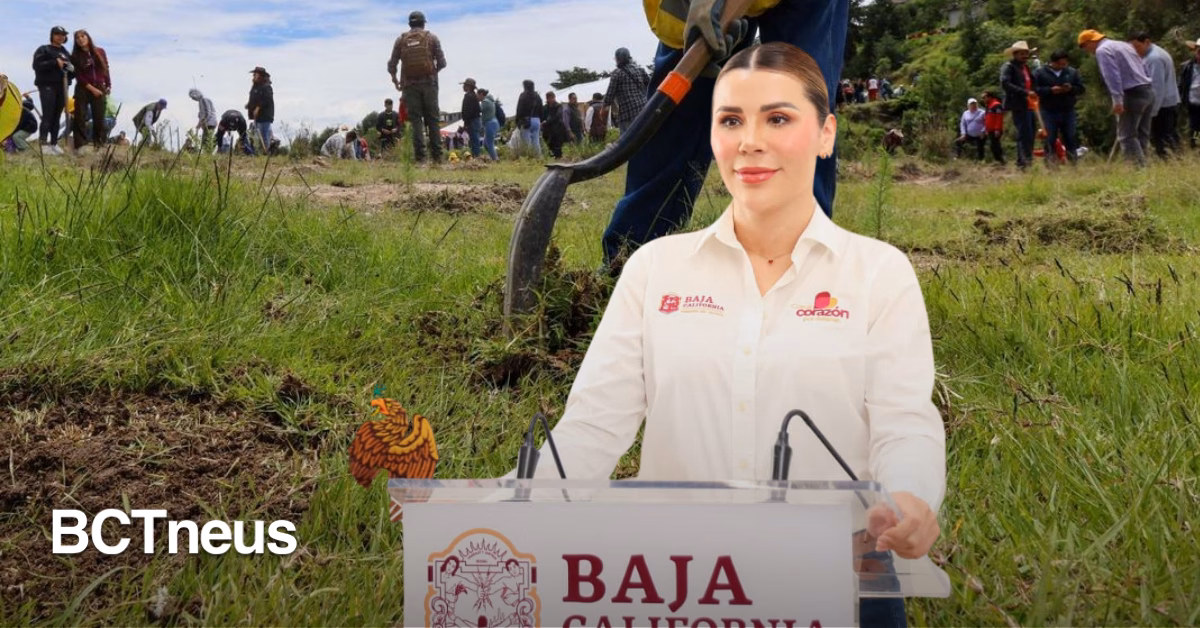 Articulo - Inicia en Baja California la Jornada Nacional de Reforestación 2026