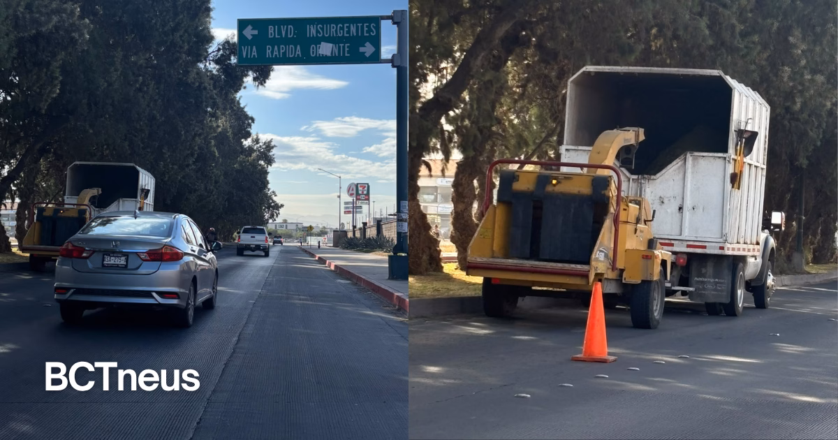 Articulo - Ayuntamiento de Tijuana realiza labores de limpieza y poda en Paseo del Río