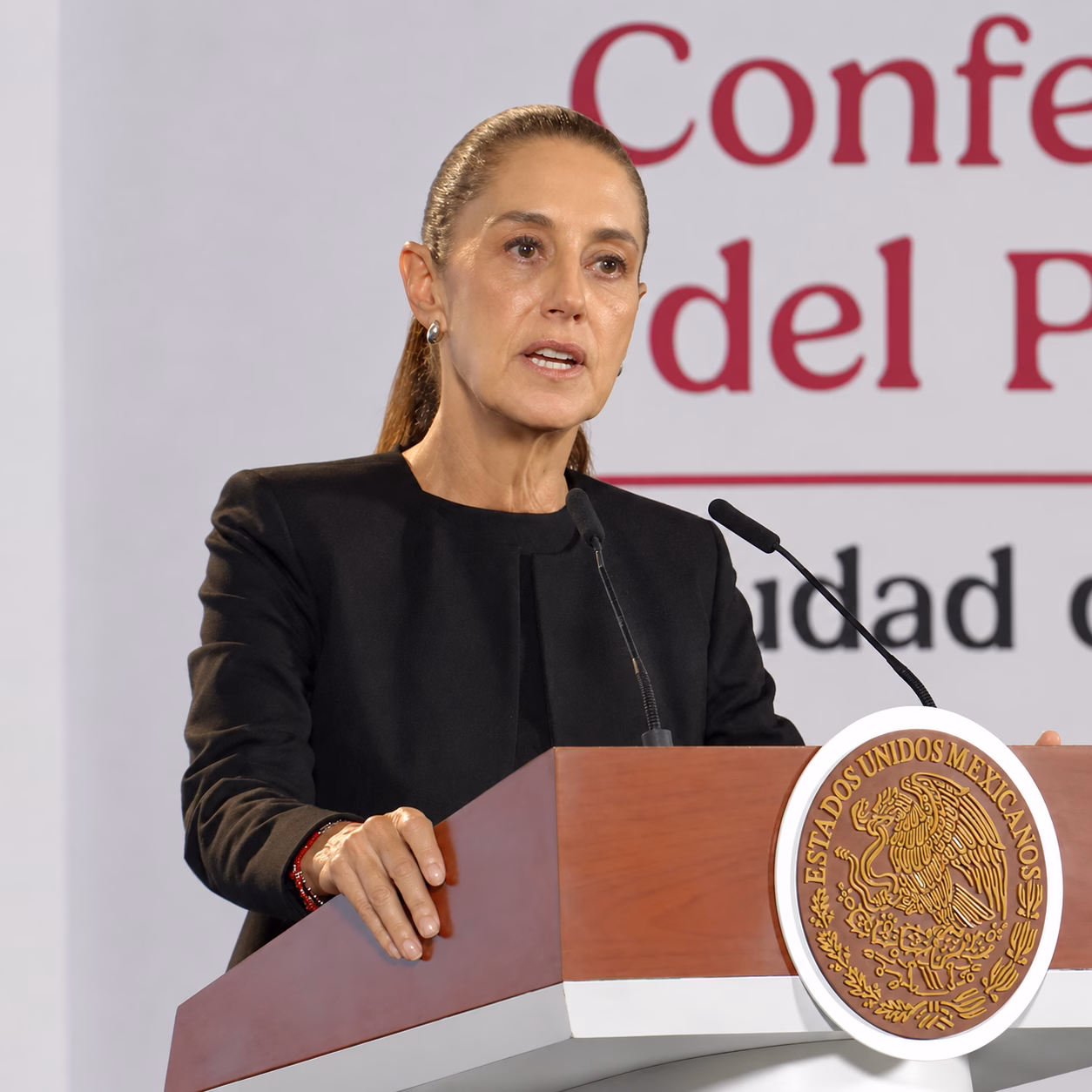 Articulo - “No me voy a meter, la verdad. Son temas de la alianza electoral que está haciendo Morena.”