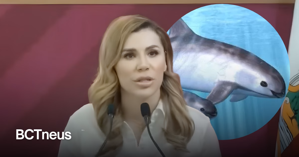 Articulo - Baja California avanza en acuerdos para proteger a la vaquita marina y atender a pescadores
